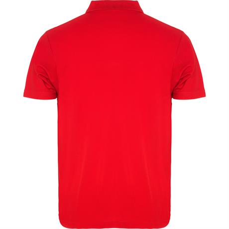 Футболка поло AUSTRAL мужская, КРАСНЫЙ S