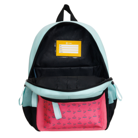 Рюкзак TORBER CLASS X Mini T1801-23-Pin