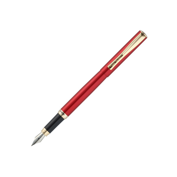Ручка перьевая Pierre Cardin ECON PC0870FP