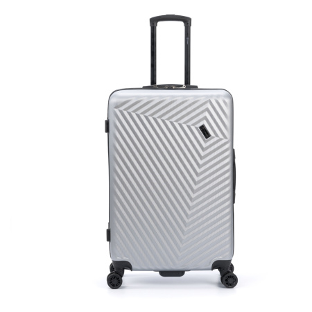 Чемодан TORBER Lama T1919L-Silver