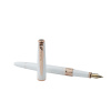 Ручка перьевая Pierre Cardin SECRET Business PCA1063FP