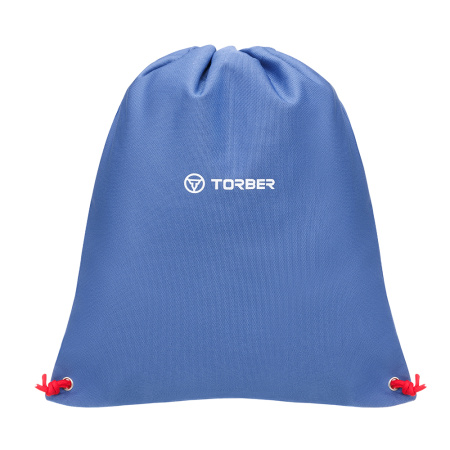Рюкзак TORBER CLASS X T70041-BR