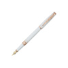 Ручка перьевая Pierre Cardin SECRET Business PCA1063FP