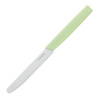 Нож cтоловый OKROSHKA САЛАТ OK225P-GN-CTS