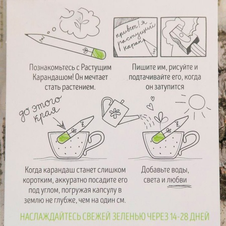 Итальянские травы. Набор графитных растущих карандашей
