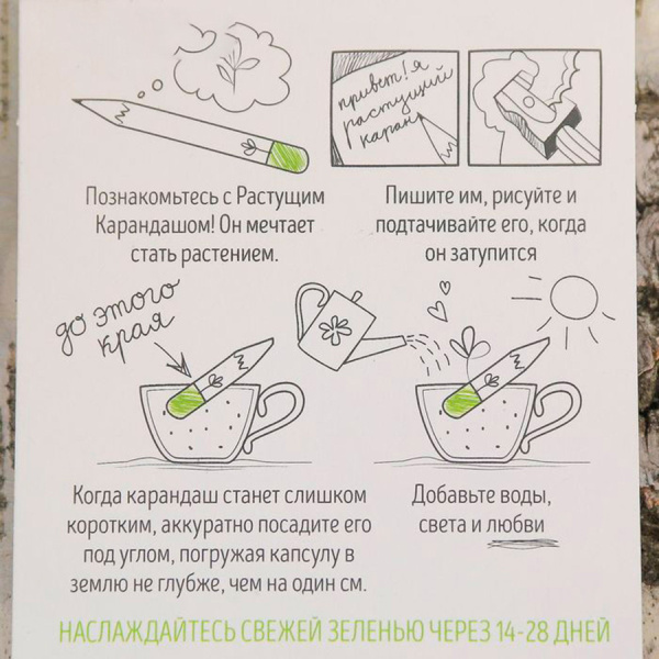 Итальянские травы. Набор графитных растущих карандашей