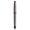 Перьевая ручка Waterman Expert DeLuxe - Metallic Silver RT