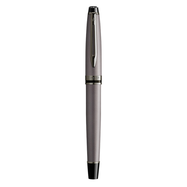 Перьевая ручка Waterman Expert DeLuxe - Metallic Silver RT