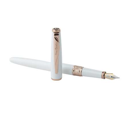 Ручка перьевая Pierre Cardin SECRET Business PCA1061FP