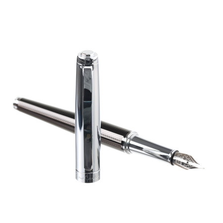 Ручка перьевая Pierre Cardin LEO PC0650FP