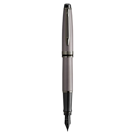 Перьевая ручка Waterman Expert DeLuxe - Metallic Silver RT