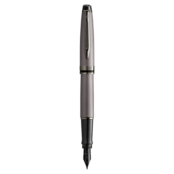 Перьевая ручка Waterman Expert DeLuxe - Metallic Silver RT
