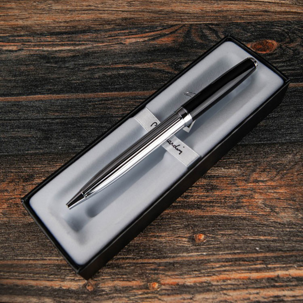 Шариковая ручка Pierre Cardin Leo 750 - Silver