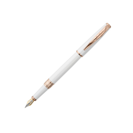 Ручка перьевая Pierre Cardin SECRET Business PCA1061FP