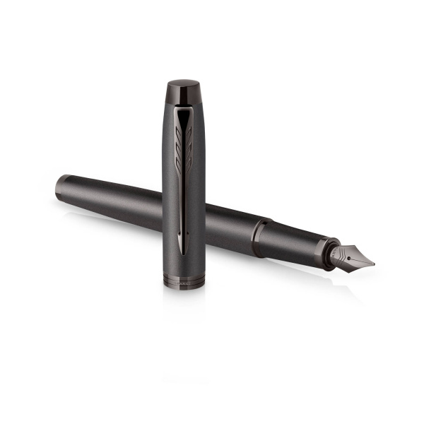 Ручка перьевая Parker "IM Professionals Monochrome Titanium"