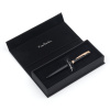 Ручка перьевая Pierre Cardin SECRET Business PCA1060FP