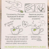 Прованские травы. Набор графитных растущих карандашей