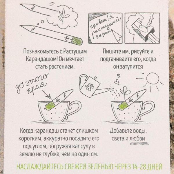 Прованские травы. Набор графитных растущих карандашей
