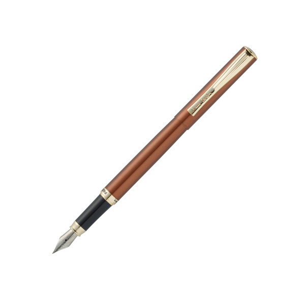 Ручка перьевая Pierre Cardin ECON PC0866FP