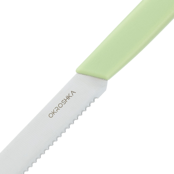 Нож cтоловый OKROSHKA САЛАТ OK225P-GN-CTS