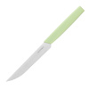 Нож для стейка OKROSHKA САЛАТ OK225P-GN-STS