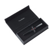 Ручка перьевая Pierre Cardin LIBRA PC3402FP