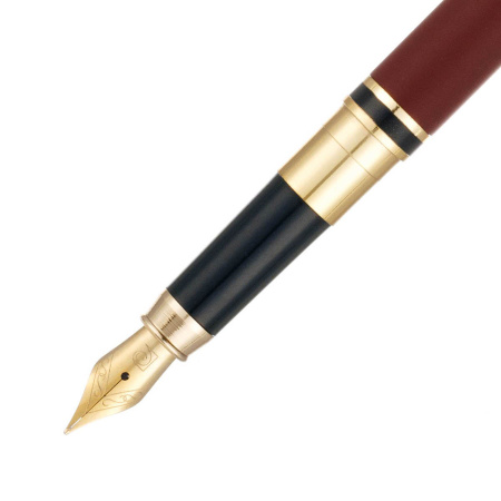 Ручка 2 в 1 шариковая и перьевая Pierre Cardin COMBI PEN PC2022BFP