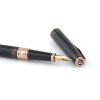 Ручка перьевая Pierre Cardin SECRET Business PCA1062FP