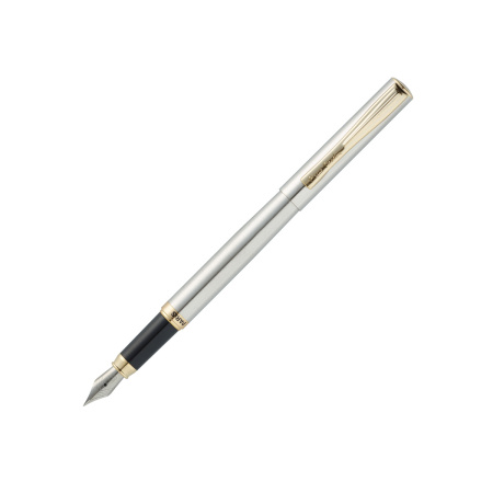 Ручка перьевая Pierre Cardin ECON PC0865FP