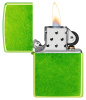 Зажигалка ZIPPO Lurid™