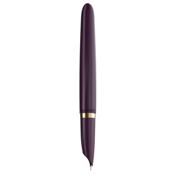 Ручка перьевая Parker 51 Premium - Plum GT