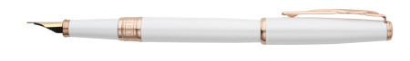 Ручка перьевая Pierre Cardin SECRET Business PCA1061FP