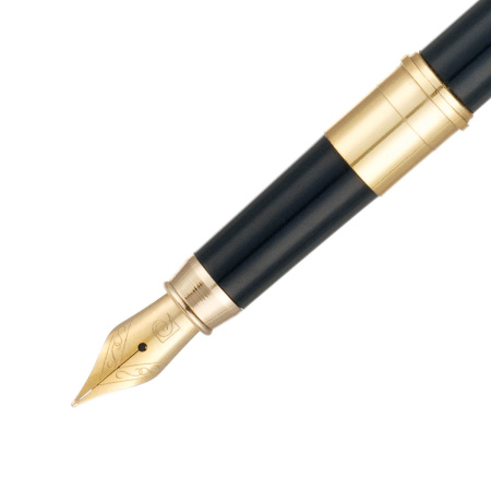 Ручка 2 в 1 шариковая и перьевая Pierre Cardin COMBI PEN PC2020BFP