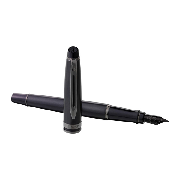 Перьевая ручка Waterman Expert DeLuxe - Metallic Black RT