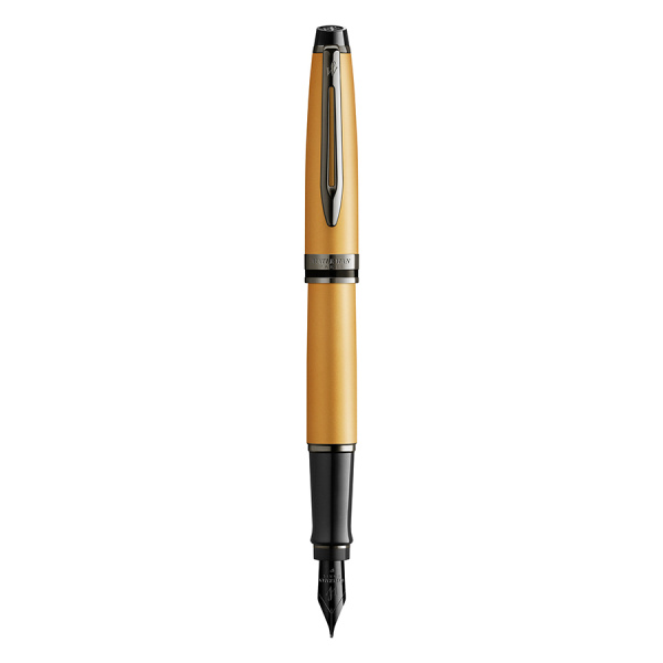 Перьевая ручка Waterman Expert DeLuxe - Metallic Gold RT