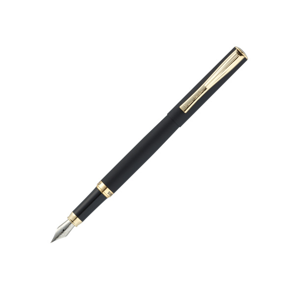 Ручка перьевая Pierre Cardin ECON PC0867FP