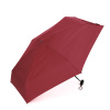 Зонт складной женский TORBER TUS24095R