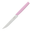 Нож для стейка OKROSHKA САЛАТ OK225P-PN-STS