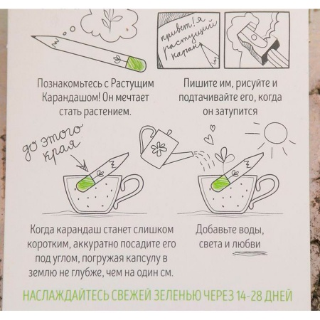 Чайный набор. Набор графитных растущих карандашей