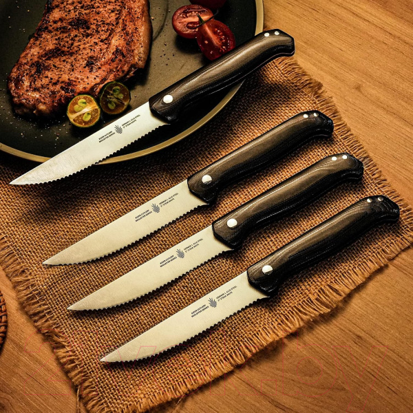 Набор ножей Kizer Begleiter German 1.4116