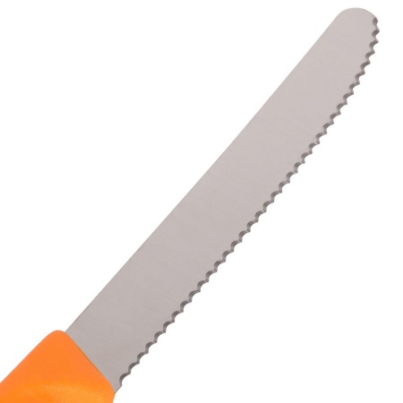 Нож столовый VICTORINOX SwissClassic 6.7836.L119