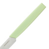 Нож для стейка OKROSHKA САЛАТ OK225P-GN-ST