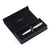 Ручка перьевая Pierre Cardin SECRET Business PCA1061FP
