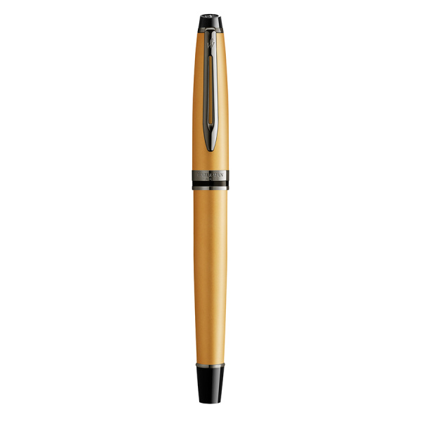 Перьевая ручка Waterman Expert DeLuxe - Metallic Gold RT