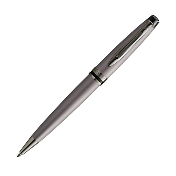 Шариковая ручка Waterman Expert DeLuxe - Metallic Silver RT