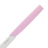 Нож cтоловый OKROSHKA САЛАТ OK225P-PN-CT